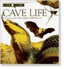 Look Closer: Cave Life