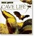 Look Closer: Cave Life