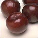 Dried Plums 4 oz bag- Dried plums sliced and dried without any sulphur. These are Grade A-1 fancy (restaurant quality) plums dried to a wonderful flavor. Our dried fruit are dried at its ripest. You may think these dried plums are just prunes but they are not whole but sliced. This gives the dried plums a different flavor and appearance. See all of Dad's Jerky products.