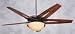 Emerson Odyssey CF2454ORB in Oil Rubbed Bronze