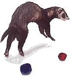 Pet Supplies : Polar Bell Toys - 2 pk