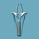 Titania Precision Grip Tweezer, Solingen (Pinzette)