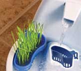 Drinkwell Aqua Garden for Pet Fountains