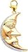 Moon, 14K Gold Diamond Charm