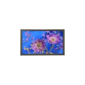 NEC PlasmaSync 61XM2 - 61" �cran plasma - �cran large - 720p