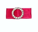 Fuchsia Retro Buckle Hairclip