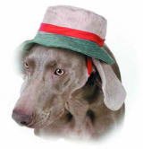 Nantucket Bucket (Size Medium)