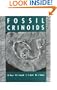 Fossil Crinoids