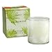 The Thymes Frasier Fir Aromatic Candle - 6.5 oz