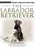 NYLABONE TERRA NOVA LABRADOR RETRIEVER