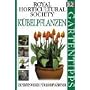 DK Gartentipps, Kübelpflanzen