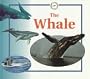 The Whale (Life Cycles)