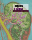 The Kidney at a Glance (At a Glance)