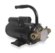 Dayton 3ABZ5 Pump, Bronze, 1/2 HP, 115/230V, 8.4/4.4 Amps