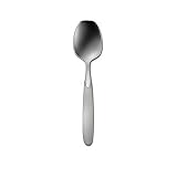 Oneida Paradox Sugar Spoon