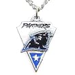 Carolina Panthers Chain Necklace & Pewter Pendant - NFL Football Fan Shop Sports Team Merchandise
