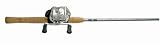 Zebco Platinum Spincast Fishing Combo