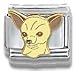 chihuahua43  - Clearly Charming Chihuahua Dog Breed Canine Collection Italian