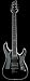 Schecter C1 Elite Electric Guitar (Black)