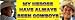 Search : My heroes have always been cowboys - Bush and Reagan bumper sticker