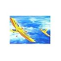 RADIO CONTROL AIRPLANE PHANTOM