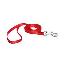 Aspen Pet 3 8 Single Ply Nylon Dog and Cat Leash by Aspen
