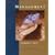 Management (Dryden Press Series in Management)