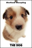 image link - - B000IZ5SZY