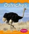 Ostriches (Pebble Books)
