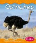 Ostriches (Pebble Books)