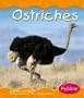 Ostriches (Pebble Books) Ostriches (Pebble Books)