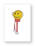 Winter Antenna Topper