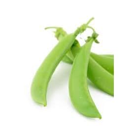 Snow Peas Oregon Sugar Pod Certified Organic Seed 80 Seeds