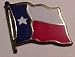 Outdoor Living : Texas Lapel Pin