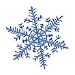 Snowflake Glitter Temporary Tattoo 2x2