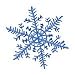 Snowflake Glitter Temporary Tattoo 2x2