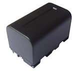 NP-FS21, NPFS21 Replacement Battery for Sony Digital Camera (3.7V 2800mAh)