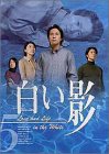DVD白い影(5)