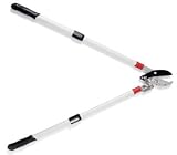 Extending Lopper