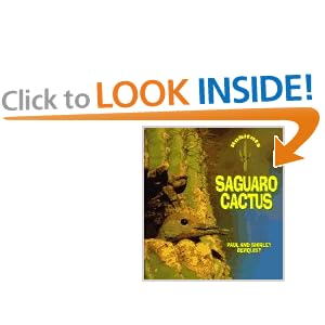 Harcourt trophies saguaro cactus