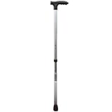 Pathlighter Cane