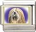 Clearly Charming Lhasa Apso Italian Charm