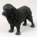 Newfoundland Original Dog Figurine (4in-5in)