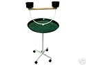 Brand New Parrot Bird Play Gym Stand On Wheels Stands 22D x 48H