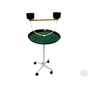 Brand New Parrot Bird Play Gym Stand On Wheels Stands 22D x 48H