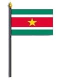 Suriname Flag Rayon On Staff 4 in. x 6 in.