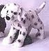 Plush Speck Dalmatian 9