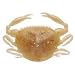 Sporting Goods : Gulp! Saltwater Peeler Crab 2''