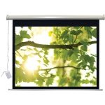 New 100 Inch Lectric Ir L Series 16:9 Motorized Projection Screen Synchronized Motor by Vutec