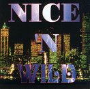 Nice & Wild - Diamond Girl (Disco Mix) Lyrics - Zortam Music